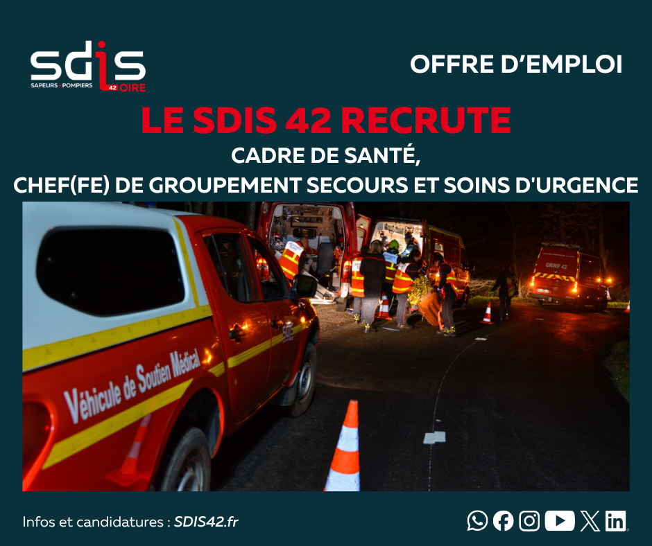offre emploi sdis